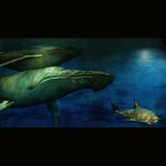 Whales Mural